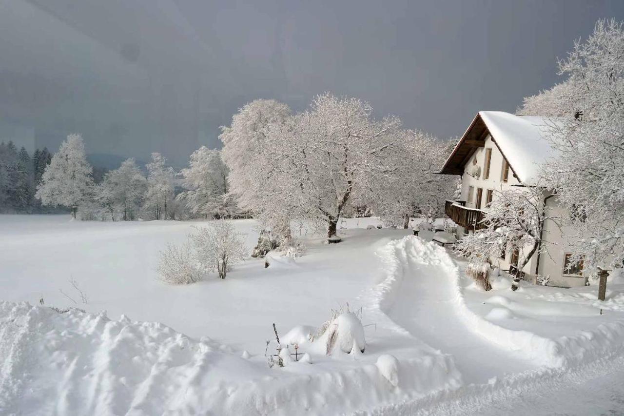 Ferienwohnung Miedl Hauzenberg Dış mekan fotoğraf